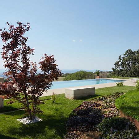 Grandono Agriturismo In Maremma Scansano Dış mekan fotoğraf
